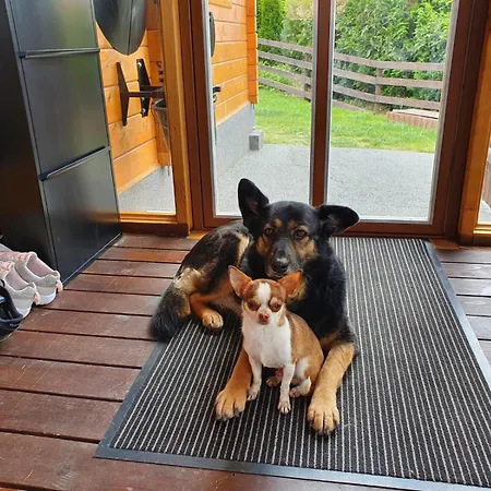 Bergzauber Huette Dom wakacyjny Langelsheim